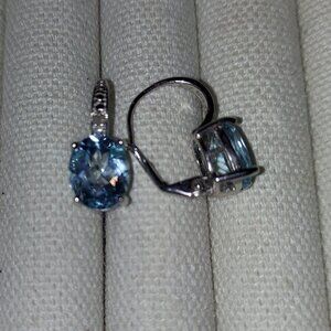 Blue Earrings